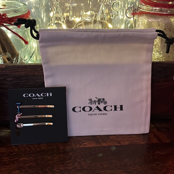 Coach Retro Bobby Pins goldstone NWT - Picture 5 of 5